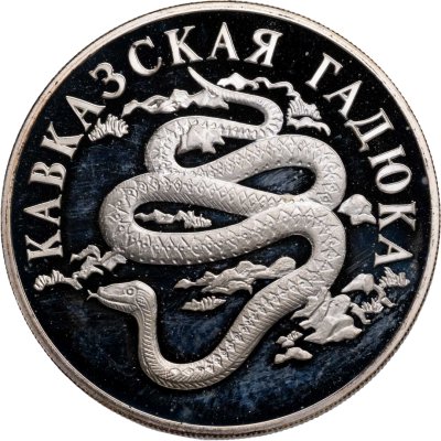 купить 1 рубль 1999 СПМД кавказская гадюка