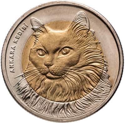 купить Турция 1 лира (lira) 2010 "Фауна Турции - Кошка"
