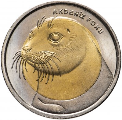 купить Турция 1 лира 2013 "Фауна Турции - Тюлень"