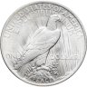 Купить США 1 dollar (доллар) 1923 Peace Dollar (Мирный доллар) без обозначения монетного двора, в слабе Монетник.ру MS62