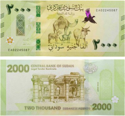 купить Судан - 2000 фунтов 2025 «Верблюды» Pick-88