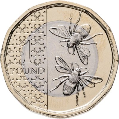 купить Великобритания 1 фунт 2025 "Пчелы"