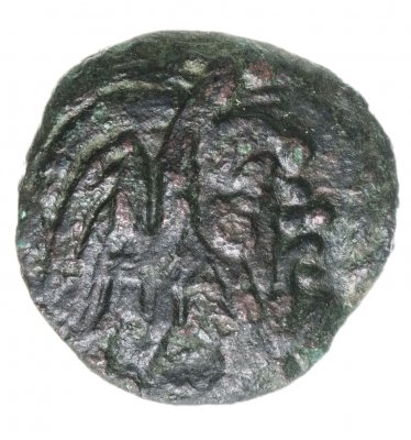 Купить Боспор Киммерийский, Пантикапей, Перисад I, 314 — 310 год до н.э., Тетрахалк