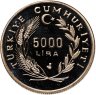 Купить Турция 5000 лир 1991 "Год Любви - Юнус Эмре"