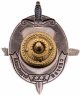 Купить Знак "30 лет ПСКР Сергей Судейский"