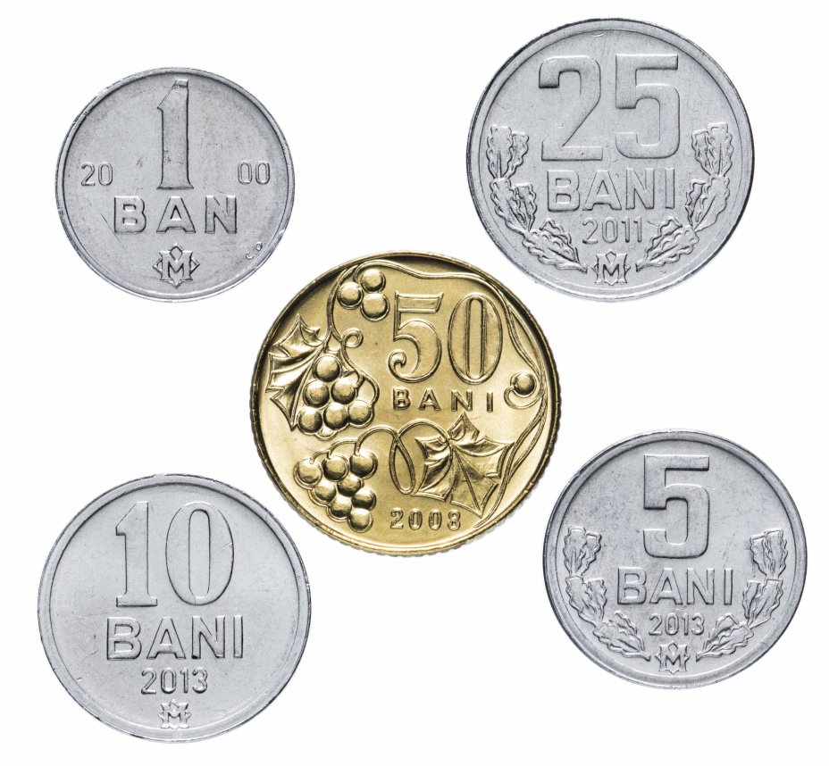 купить Молдова набор монет 1993-2013 (5 штук)