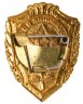 Купить Знак Отличник ВВС СССР (Разновидность случайная )
