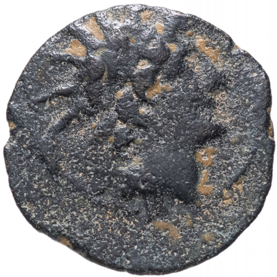 купить Селевкиды, Клеопатра Тея и Антиох VIII, 125-121 годы до Р.Х., АЕ19. (Сова)