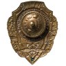 Купить Нагрудный знак "Отличный связист", эмаль, винт. СССР, з-д Победа, 1950-гг