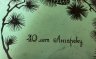 Купить Вафельница электрическая "40 лет Ангарску", алюминий, металл, пластик, СССР, 1980-1990 гг.