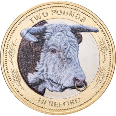 купить Джерси 2 фунта 2024 "Корова породы герефордская (hereford)" цветная