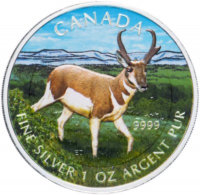 купить Канада 5 долларов 2013 "Дикая фауна Канады - Вилорог"