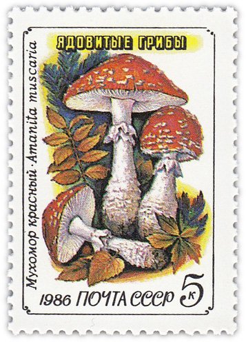купить 5 копеек 1986 "Ядовитые грибы: Красный мухомор"