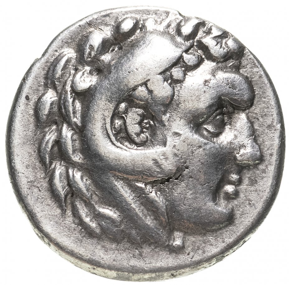 купить Древняя Греция, Мезия, г. Каллатиды 3 в до н.э. драхма