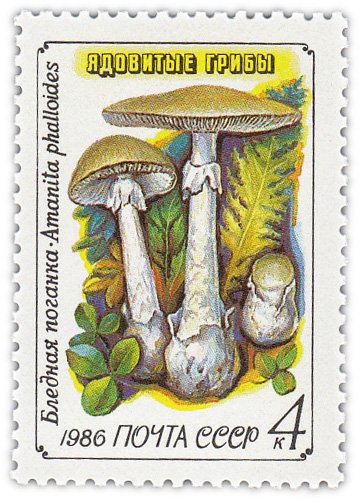 купить 4 копейки 1986 "Ядовитые грибы: Бледная поганка"