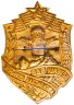 Купить Значок Ветеран ВДВ ( Воздушно-Десантные Войска ) -  Афганистан  1979 - 1989  (Разновидность случайная )
