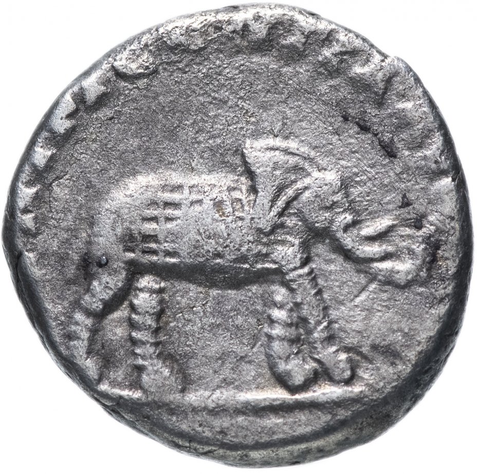 купить Римская империя, Септимий Север, 193-211 годы, денарий. (Слон)