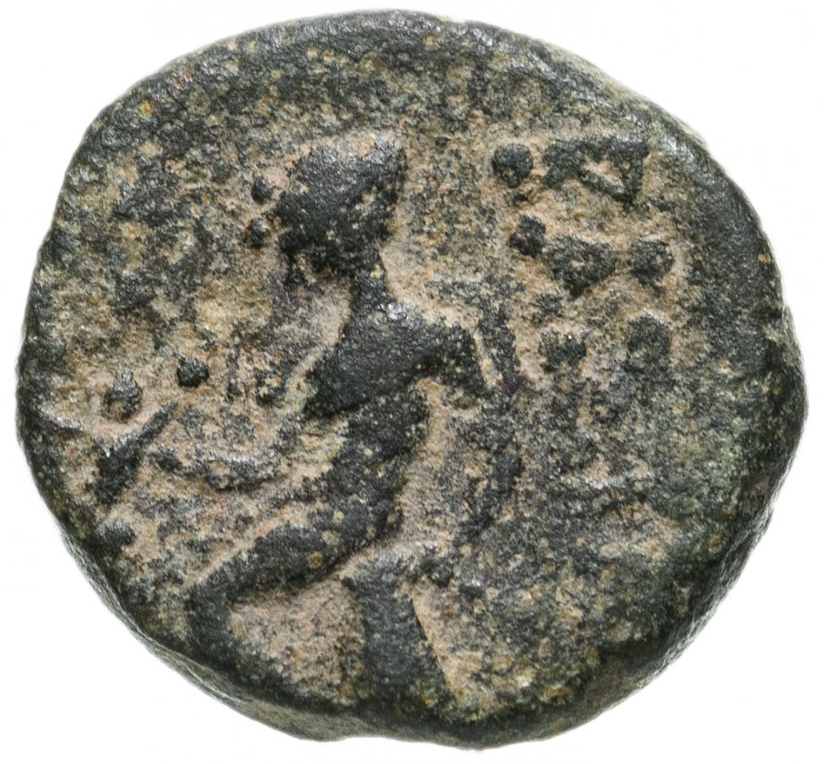 купить Селевкиды, Антиох III, 222-187 годы до Р.Х., АЕ14.