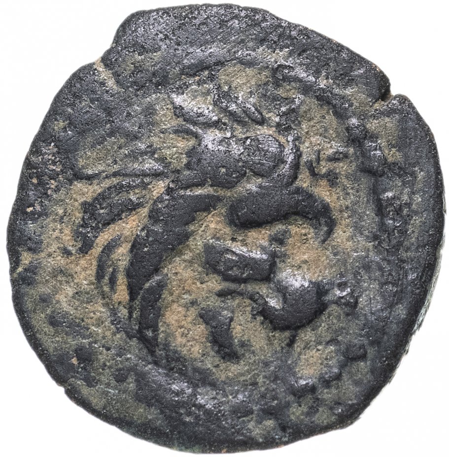 купить Селевкиды, Антиох VII Сидет, 138-129 годы до Р.Х., AE16. (Лев)