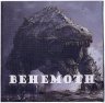 Купить Камерун 2000 франков 2024 "Бегемот" в футляре, с сертификатом