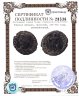 Купить Римская империя, Прокопий, 365-366 годы, центенионалий.