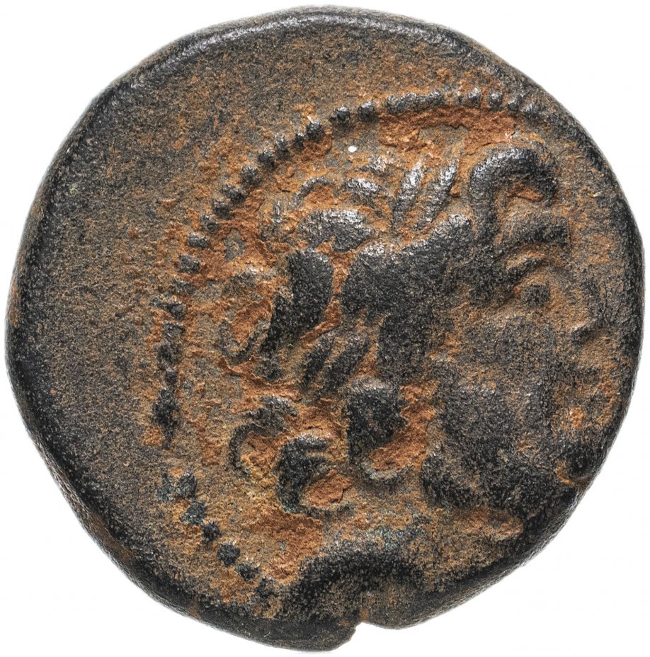купить Сирия, Антиохия-на-Оронте, I век до Р.Х., АЕ22.