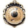 Купить Знак "СЗК 70 лет"