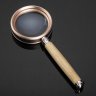 Купить Лупа с рукояткой ZB88050 с 20-кратным увеличением
