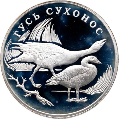 купить 1 рубль 2006 СПМД гусь сухонос