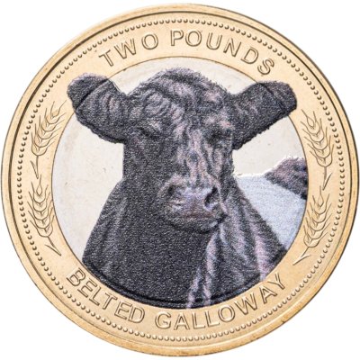купить Джерси 2 фунта 2024 "Корова породы галловейская (belted galloway)" цветная