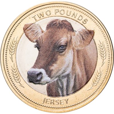 купить Джерси 2 фунта 2024 "Корова породы джерси (jersey cow)" цветная