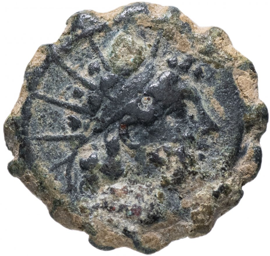 купить Селевкиды, Антиох VI Дионис Эпифан, 144-142 годы до Р.Х., АЕ18. (Пантера)