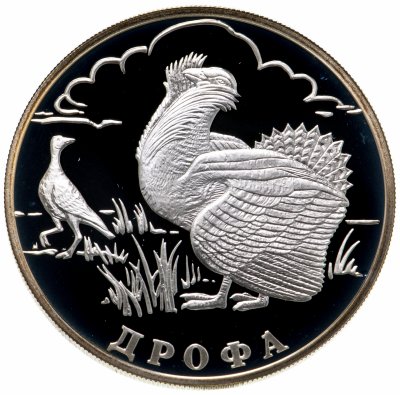 Купить 1 рубль 2004 СПМД дрофа