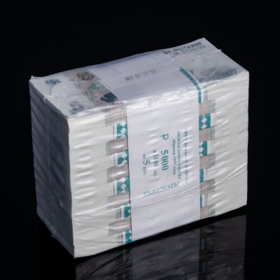 Купить 5 рублей 2023 (НОВЫЙ выпуск образца 1997)  блок (кирпич) 1000 шт [ПРЕСС]