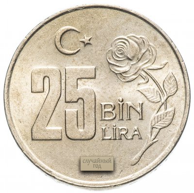купить Турция 25000 лир (25 bin lira) случайный год (1995-2000)