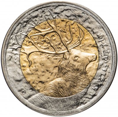 купить Турция 1 лира 2012 "Фауна Турции - Олень"