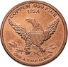 Купить США монетовидный жетон "Африканская дикая природа - лев"