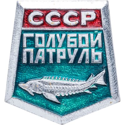 Купить Нагрудный знак активиста "Голубой патруль", СССР, З-д опытных и сувенирных изделий (г. Мытищи), 1970-1980 гг.