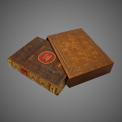 купить История Петра Великого., кожа (натуральная, два вида), дизайнерская бумага; тиснение (золотое, блинтовое), аппликация, окрашенный обрез, 2017 г.
