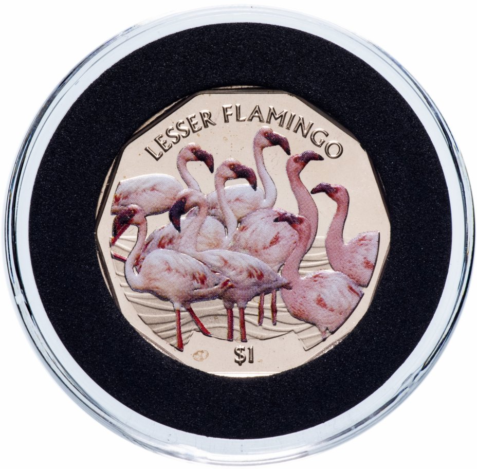 купить Британские Виргинские острова 1 доллар 2019 "Малый фламинго"