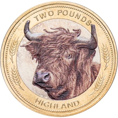 купить Джерси 2 фунта 2024 "Корова породы хайленд (highland cow)" цветная