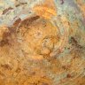 Купить Таз с длинной ручкой для варки варенья (большой), латунь, дерево, Кольчугинский завод цветных металлов, СССР, 1970-1990 гг.