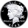 Купить США 1 доллар 2023  S "Peace dollar мирный доллар"  в футляре с сертификатом