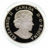 Купить Канада 20 долларов 2017 "Березовый лист - Каменная друза" в футляре, с сертификатом
