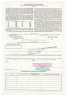 Купить Акция США MICHIGAN WISCONSIN PIPE  LINE  COMPANY 1970-1973 гг.