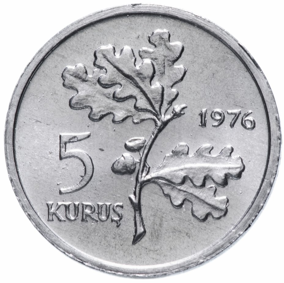 535 год. Турция 5 курушей 1975 ФАО. Турецкие монеты 5 Куруш. Монета 5 Куруш 2005 Турция. Монета FAO.