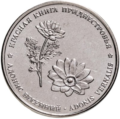 купить Приднестровье 1 рубль 2021 "Адонис весенний"