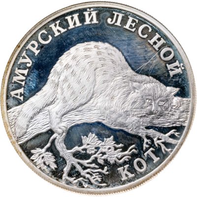 купить 1 рубль 2004 СПМД амурский лесной кот