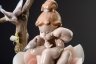 Купить Статуэтка «Девочка на цветке» («Дюймовочка»), фарфор, роспись, Lladro, Испания, 2002 г.