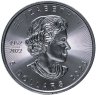 Купить Канада 5 долларов (dollars) 2023 Кленовый лист